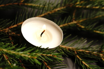 A burning candle lies on the fir branches. Dark background. Dim lights. Close