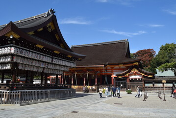 Fototapeta premium 八坂神社