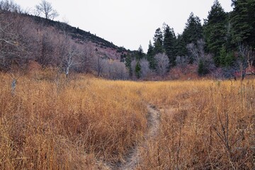 Slide Canyon hiking trail fall leaves mountain landscape view, around Y Trail, Provo Peak, Slate...