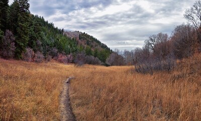 Slide Canyon hiking trail fall leaves mountain landscape view, around Y Trail, Provo Peak, Slate...
