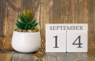 Flower pot and calendar for the cool season from 14 September. Autumn time.