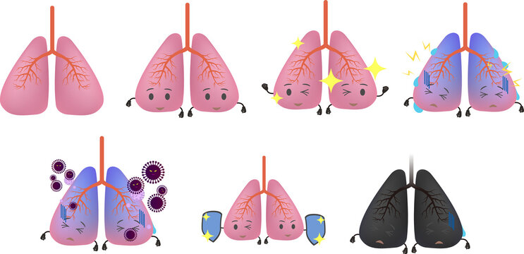 2 540 Best Vital Organs Images Stock Photos Vectors Adobe Stock