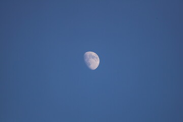 Evening moon