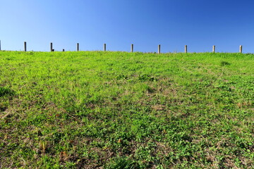 Obraz premium 杭のある秋の江戸川土手風景