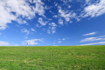 秋の除草された江戸川土手と青空