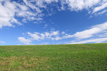 秋の除草された江戸川土手と青空