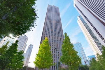 新宿の高層ビル群　Skyscrapers in Shinjuku, Tokyo, Japan
