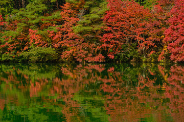 湖に反射する美しい紅葉