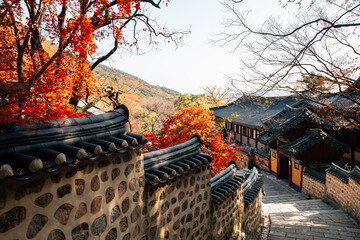 Autumn of Beomeosa temple in Busan, Korea