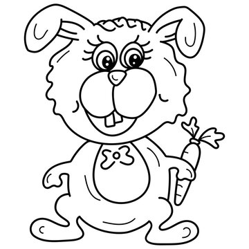 Rabbit Cartoon Drawing  