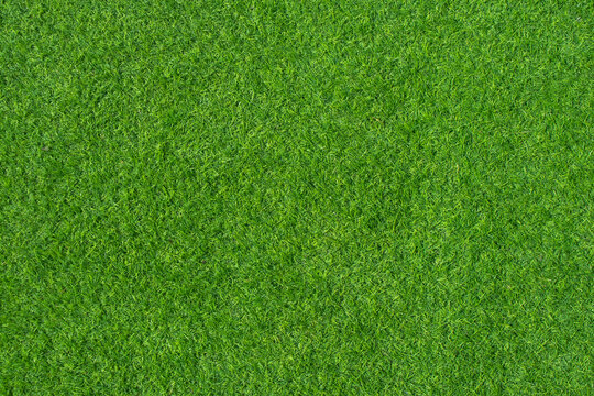 Top view of green artificial grass in outdoor garden.