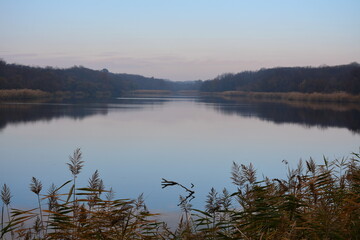 An early autumn morning on a rural pond.