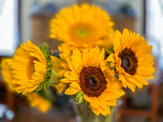 Closeup of bouquet of sunflowers with a shallow depth of field. 
