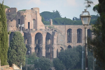 Fototapeta premium roma
