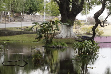 Lago