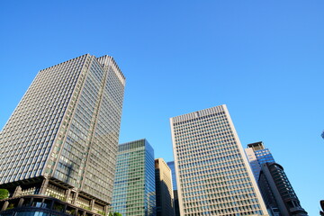 Fototapeta premium 東京駅丸の内オフィスビル紅葉