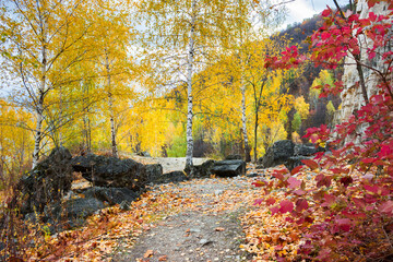 Obraz premium The abandoned limestone quarry in the Zhiguli Mountains, Samara region, Russia.