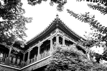 Imperial Garden at forbidden city