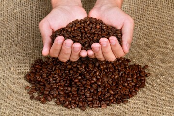 Cupped Hands Holding Coffee Beans