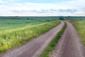 Fototapeta na wymiar Country road between green fields in spring.