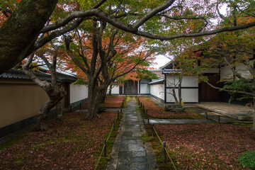 京都、紫野の大徳寺塔頭 黄梅院の紅葉の風景