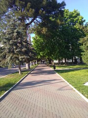 path in park
