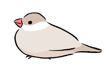 ちょこんとたたずむ文鳥　シナモン　クリーム