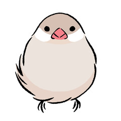 にっこり文鳥　クリーム　シナモン