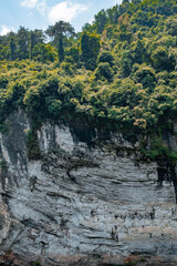 sceneries of Li River in Guillin China