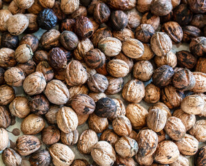 Walnut as background. Harvest from  garden