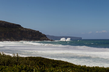 Palm Beach with ocean views and cliff in the distance, with selective focus on the foreground