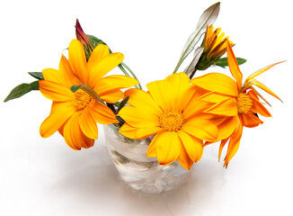 Orange flowers in a glass isolated on a white background.