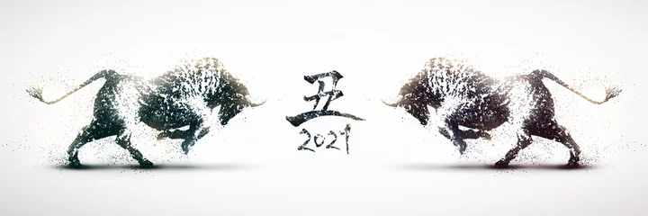 Schilderijen op glas 向かい合う闘牛のシルエット　2021年丑年のバナー　白黒の粒子 © goleiro35