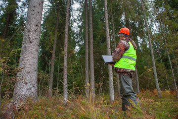 A forest engineer in a helmet and a vest works in the forest with a computer. The concept of computerized forest inventory.