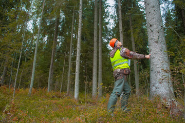 A forest engineer in a helmet and a vest works in the forest with a computer. The concept of computerized forest inventory.