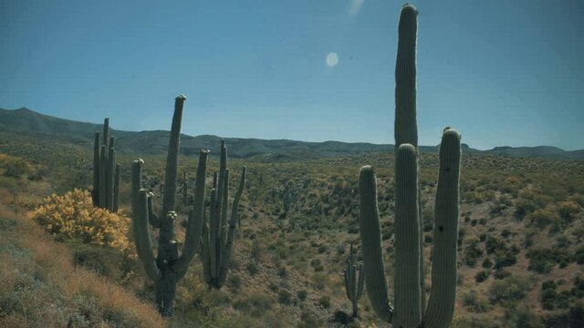 Aerial drone view of forests and cliffs at Theodor Roosevelt lake overlook in Tonto National Forest in Arizona, United States