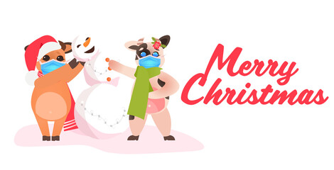 little oxes in santa hats standing with snowman cows wearing masks to prevent coronavirus pandemic new year winter holidays celebration concept full length horizontal vector illustration