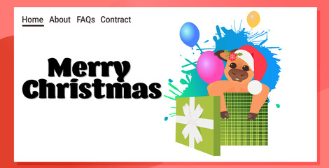 little ox in santa hat sitting in gift box happy new year 2021 lettering greeting card cute cow mascot cartoon character full length horizontal vector illustration