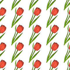 Seamless pattern with red tulip