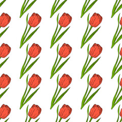 Obraz premium Seamless pattern with red tulip
