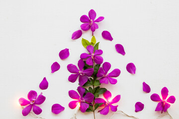 Fototapeta na wymiar purple flowers orchid arrangement flat lay postcard style on background white wooden