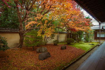 秋の京都、紫野の大徳寺塔頭 興臨院の庭園