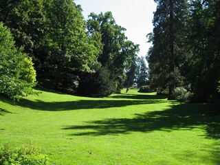 path in the park