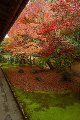 秋の京都、紫野の大徳寺塔頭 興臨院の庭園