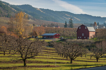 Hood River Valley landscape orchards and buildings Oregon.