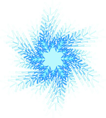 winter Snowflake isolated on white background. Vector illustration.
