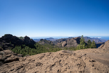 Mountain Landscape Canaries