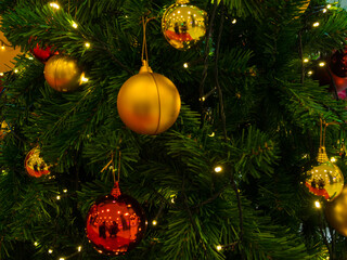 Christmas golden ball on the green branches fir