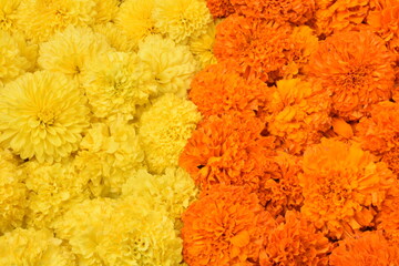 shevanti, chrysanthemum marigold flower decoration for festival