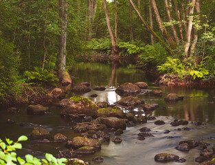 Spring at the stream.